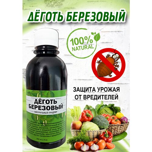 ���������� �������� ��� ������ �������� ��� ����, �� ��������, ���������, ������, �����-����, ������ ���������, 240 ��.