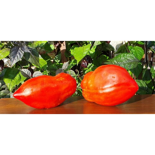 ���������� ������ ����� ����� ��������� (Abbatista Paste) / Seeds And Goods / � �������� zip-lock ��� ���������� 10 �����