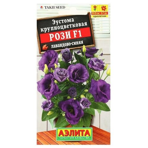 ���������� ������ ������ ������� ���� F1 ���������-����� ��������������� ��������, 5 ��.