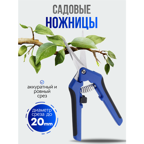 ���������� ������� ������� ��� ������ � ������, ������� ��� ��� � ������� ��������