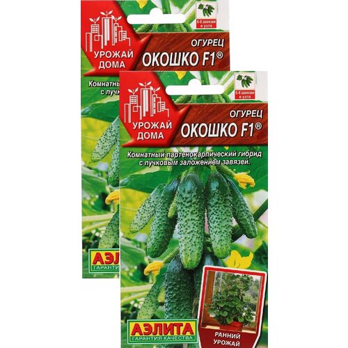 ���������� ������ ������ F1 (10 �����), 2 ������ - ������ ����