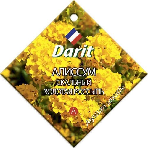 ���������� ������ Darit 
