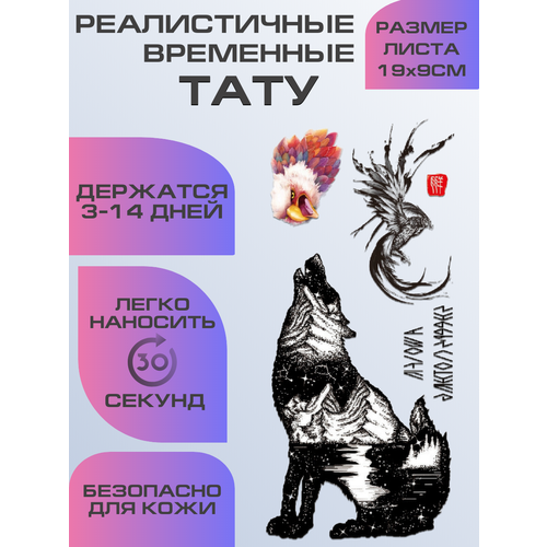 ���������� ���� ���������� �������������� ����