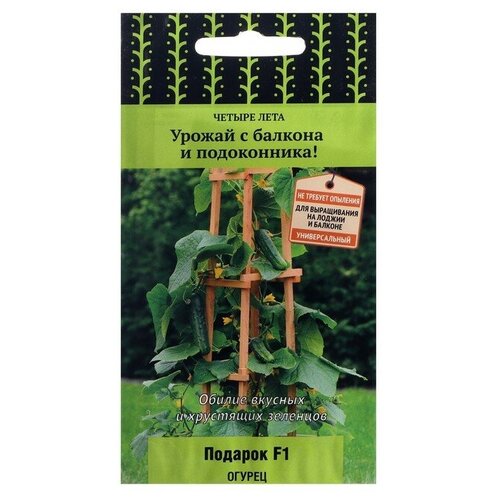 ���������� ������ ������ 