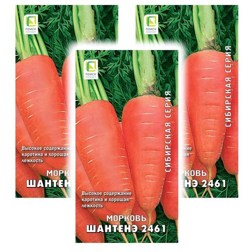 ���������� ������ ����� ��������� ����� ������� ������� 2461 2 �, 3 ��.