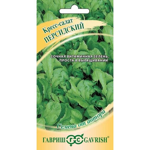 ���������� ������ �����-����� ���������� ������������� 1� (������) ����� �24