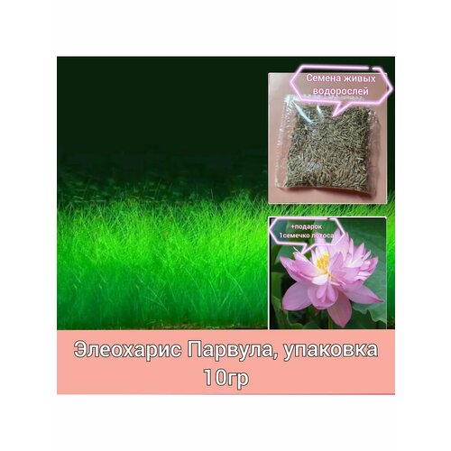 ���������� ������ ����� ���������� ��� ��������� ��������� 10��