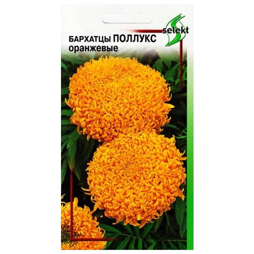 ���������� �������� (������� ������������) �������, ���������, 10 �����