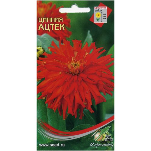 ���������� ����� �����, 18 �����