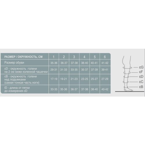  Ergoforma 211      , , 1 , : 2,    , -, 