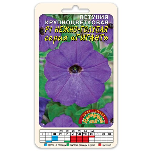 ���������� ������ �������� ��� 