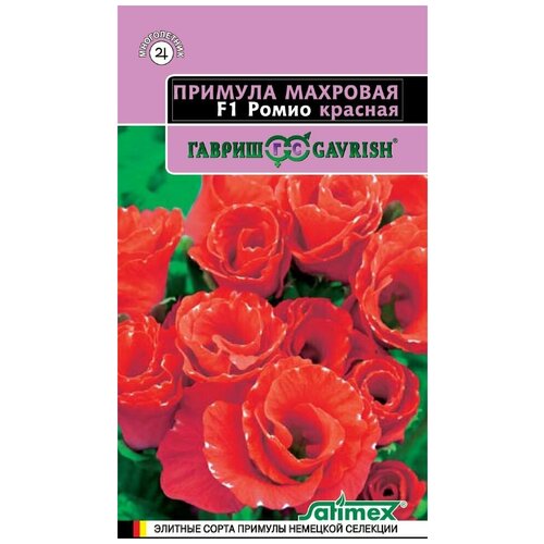 ���������� ������ ������� �������� ����� ������� F1, 3��, ������, Satimex, 10 ��������