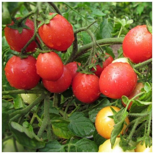 ���������� ������ ������ ����� �������� ������ 10 ��.