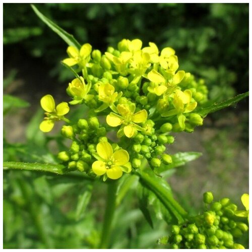 ���������� ������ ������ �������� ��������� 15 ��.