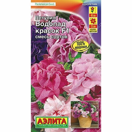 ���������� ������ ������� ������� ������ F1 ����� ������, ����������, (������) 5��