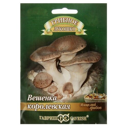 ���������� ������ ������� �� �������� 