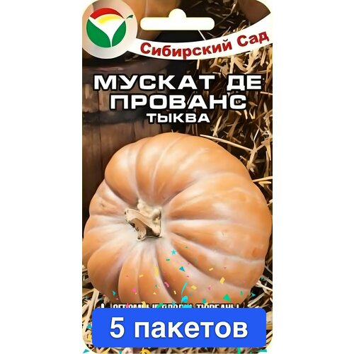 ���������� ������ ������ ��������� ��� 