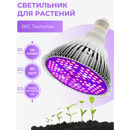 ���������� ������������ ���������� (���������) 