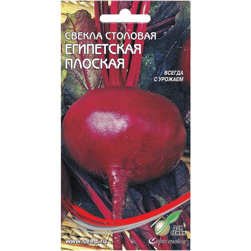 ���������� ������ ���������� �������, 120 �����