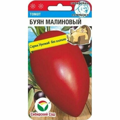 ���������� ������ ����� ���� ��������� (�����������) ��. (��������� ���) 20��