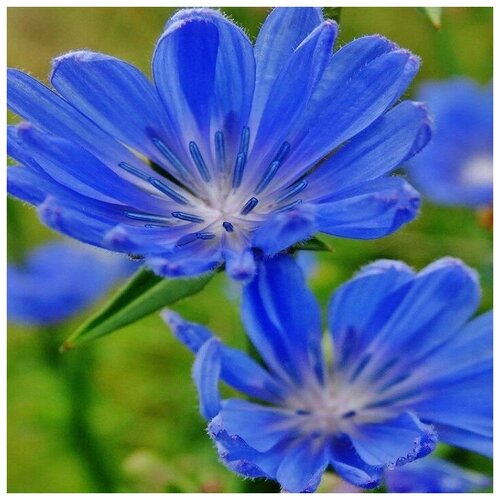 ���������� ������ ������ ������� ������������ 500 ��.