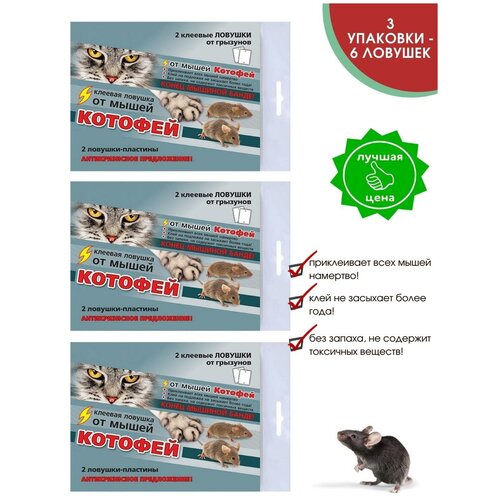 ���������� ������� ������� - �������� ��� ����� / ������� ������� �� ����� ������� / ��������� �������� 3 ��