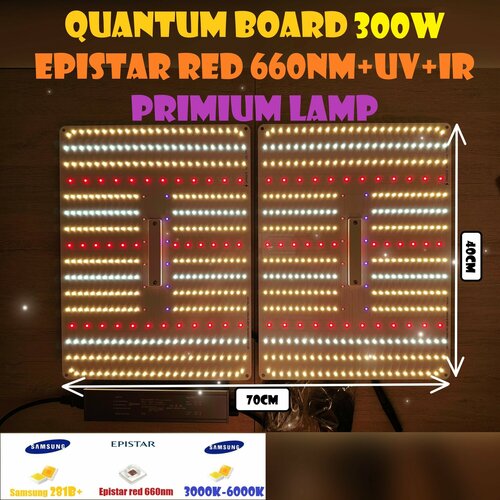    /  Quantum board   300  Mean well,  LM281B 288-2 5000 450nm-660n   , -, 