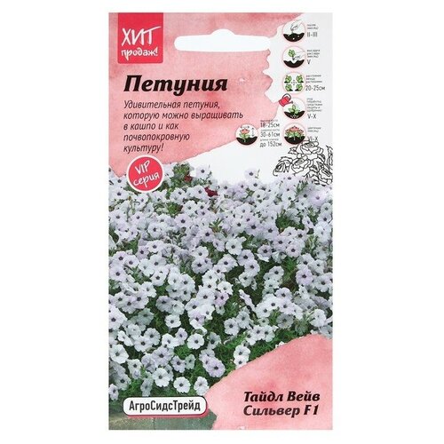 ���������� ������ ������ ������� 