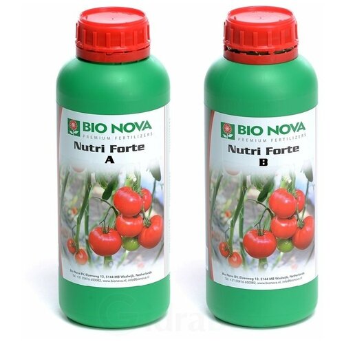  BIO NOVA Nutri Forte Hydro A+B 1    , -, 