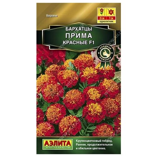 ���������� ������. �������� ����������� 