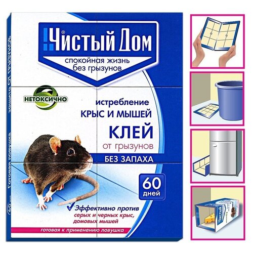 ���������� ������� �������- ���� �� �������� - ������ ��� 40 ��.