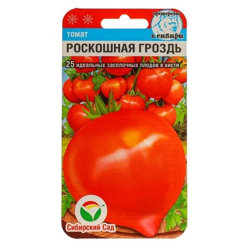 ���������� ������ ����� 