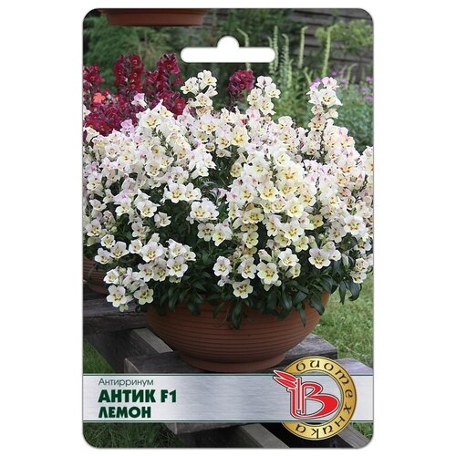 ���������� ���������� ������ ���������� ���������� ����� F1 �����