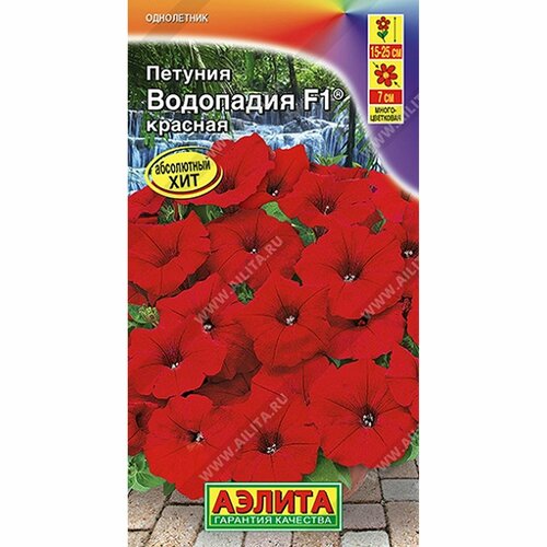 ���������� ������ ������� ��������� F1 �������, ����������, (������) 5��