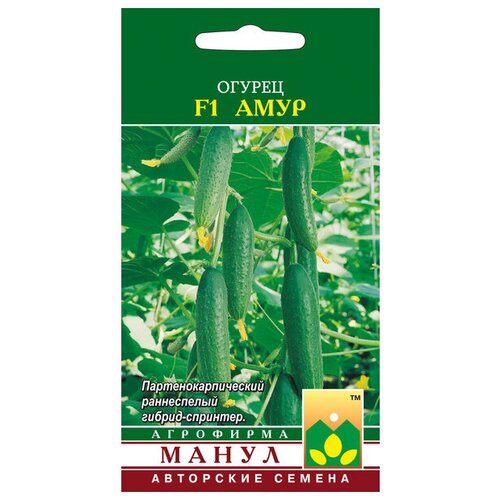 ���������� ������ F1 ���� 10 �� �����