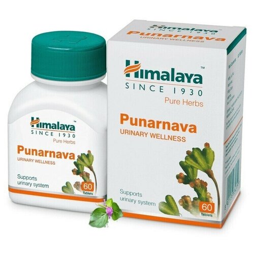  Himalaya Wellness Pure Herb 60 .   , -, 