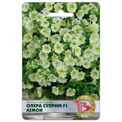 ���������� ������ ������� ��������� 