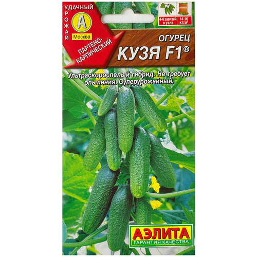 ���������� ������ ��������� ������ ������ ���� F1 10 ��.