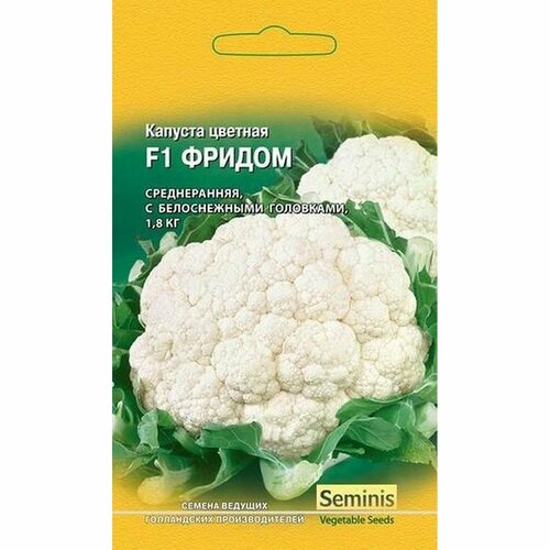 ���������� ������ ������� ������� ������ F1, ������������, (������) 10��