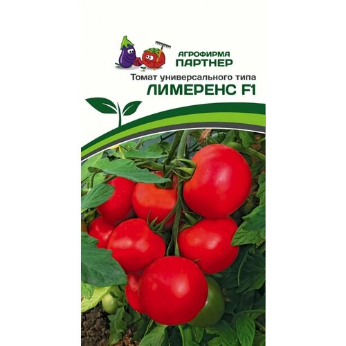 ���������� ������ ������ ��������� ������� 