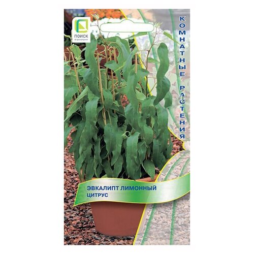 ���������� ������ ��������� ����� �������� ������ 5 ��