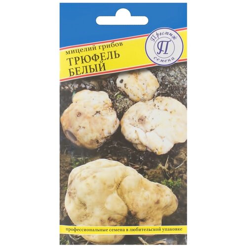 ���������� ������ ���� ������� �����