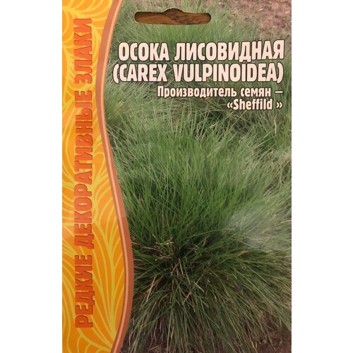    (Carex vulpinoidea) (100 )   , -, 