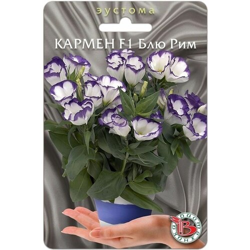 ���������� ������ ������� (���������) ��������� 