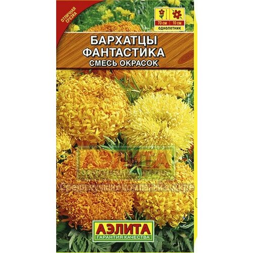 ���������� ������ �������� ������������ ���������� 0.2� ����� 70�� (������)