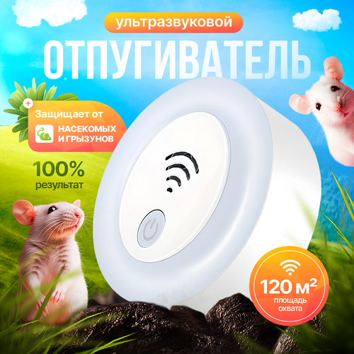 ���������� ������������ ����� � ���� ��������������, ������������ ���������