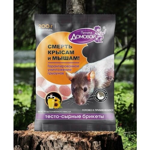 ���������� �����-������ ������� �� ���� � ����� 200�. ���� ������������ �����.