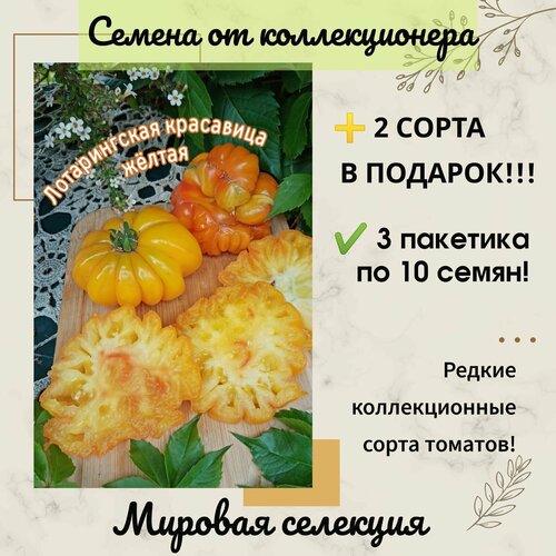 ���������� ����� ������������ ��������� �����, ������� ��������, ������������� ����