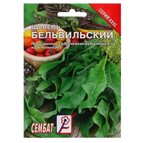 ���������� ������ ���L ������ 