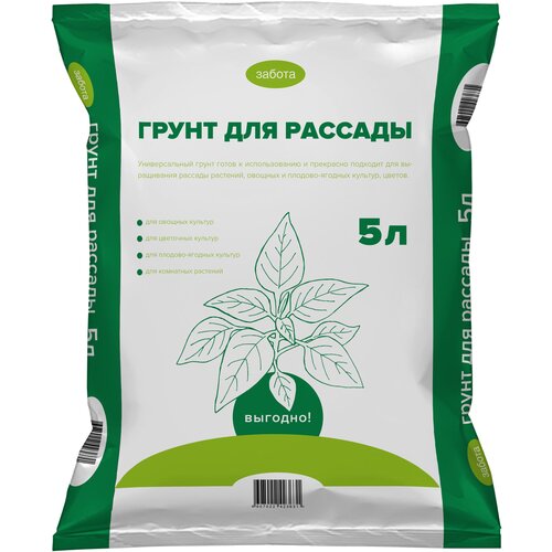 ���������� ������ ��� �������, ����������, ����� ����������� 5 �.